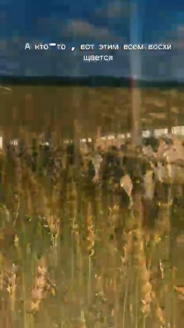 Красота вокруг нас