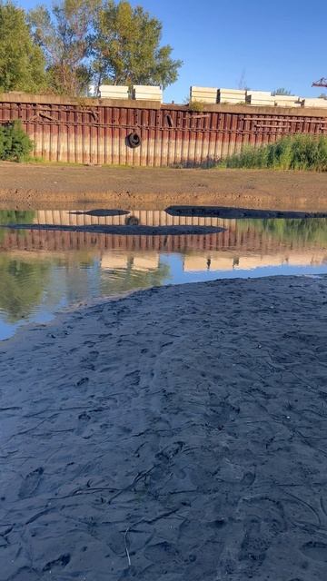 Мелкая Щука пошла 🐟река Кубань сегодня 25.08.2025