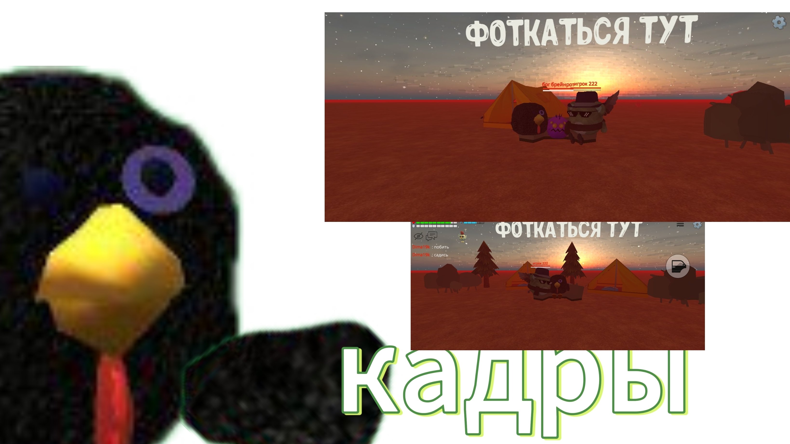 кадры из сходки