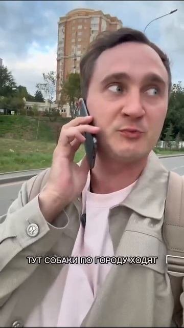 Юмор