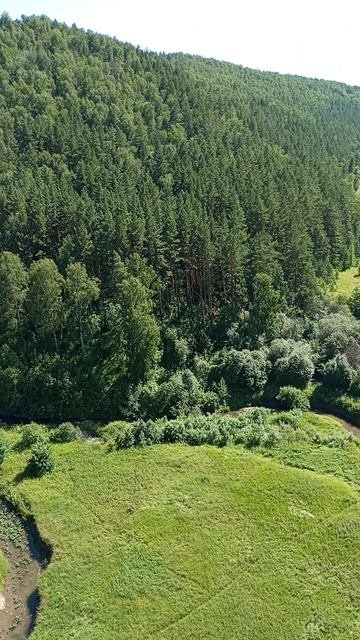 Природа Республики Башкортостан. Июль 2025