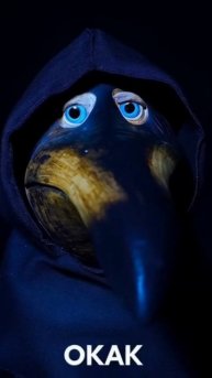 СКЕБОБ ОКАК