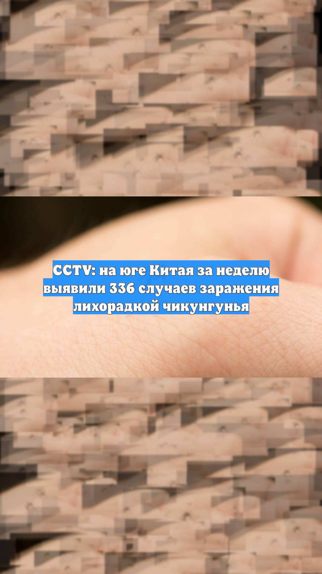 CCTV: на юге Китая за неделю выявили 336 случаев заражения лихорадкой чикунгунья