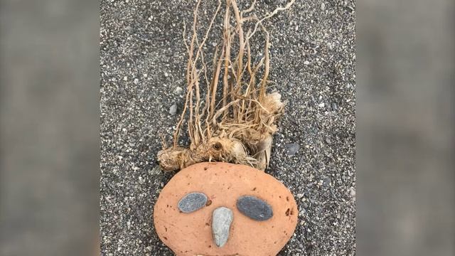 Развлечение на пляже. 3