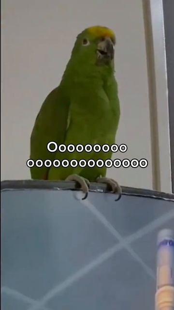 Лучше оригинала