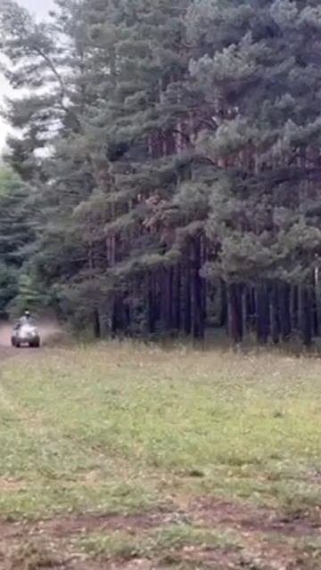 Пятачок и квадроцикл