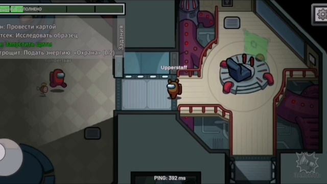 Among Us /Miss Rada 1часть