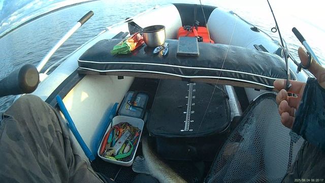 Озеро Селигер. Поклевка огромного судака