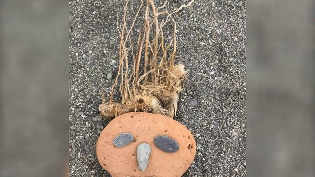 Развлечение на пляже.