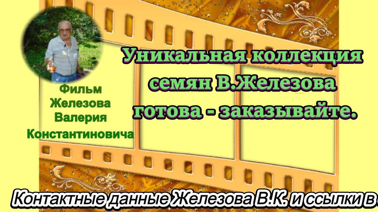 Уникальная коллекция семян В.Железова готова- заказывайте.