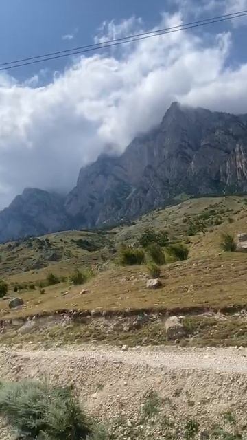 Умный в гору не пойдет