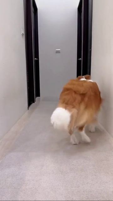 Селфи супер😂