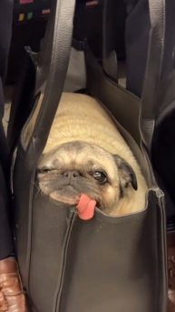 гудмонин #shorts