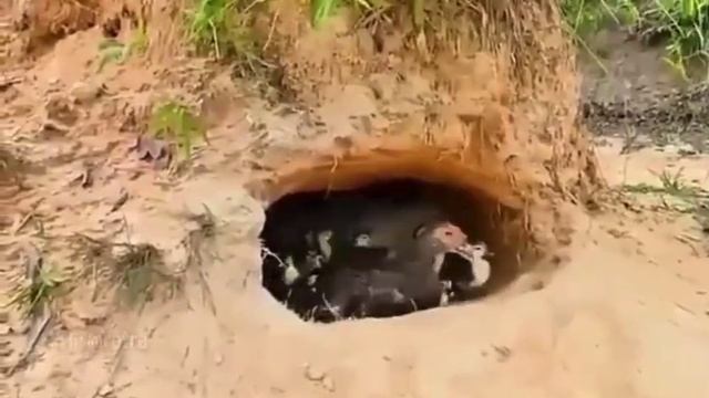 VID_20250825_173719_999.mp4