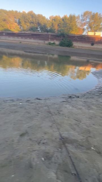 Мелкая Щука на реке Кубань пошла Краснодар сегодня 25.08.2025