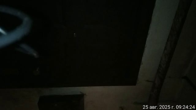 25.08.2025 музыка кв4. Результат деятельности полиции.Оренбург.