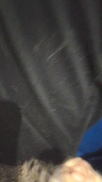 Пока: я с котом