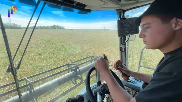 уборочная кампания