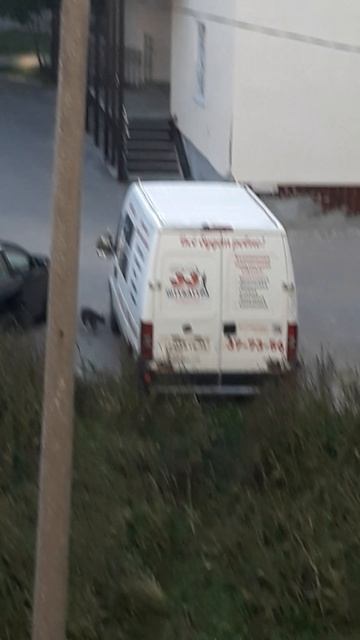 ПУТИШЕСТВИЕ КОШКИ