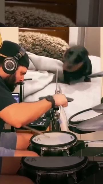 Когда концерт😎?!))