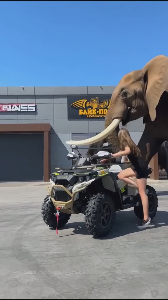 РМ 800Т в цвете «Сафари» 🤩🤩 в наличии в Байк-Пост🔥📍г. Краснодар, Марьянская, 29