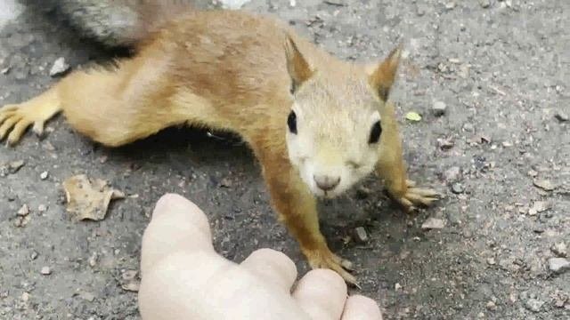 уже и пить бросил, а она все приходит