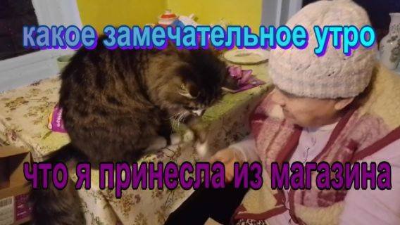 № 919 какое замечательное утро // что ч принесла из магазина