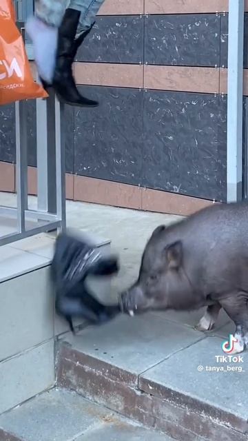 о будущее шашлык🤪😋