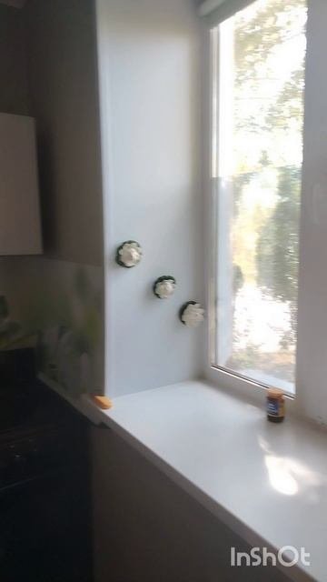 1000049661.mp4