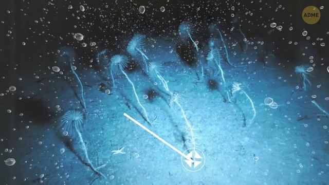 Открытие на озере Гурон: обнаружена древняя подводная цивилизация