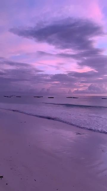 VID_20250826_212650_169.mp4