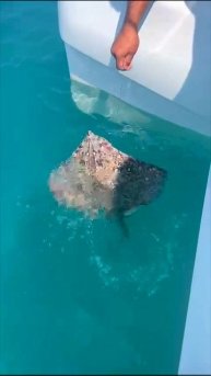 Морская рыбалка выход из Кудепсты 🌊🐬🐟🐠💯🔥⛵🔆🦈🌊🤩✌