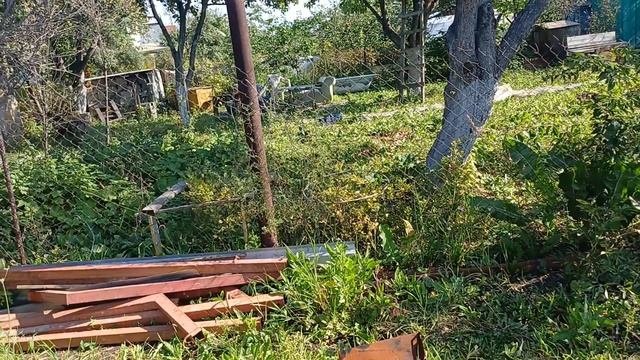 Очередные будни садовода. 26.08.2025г.