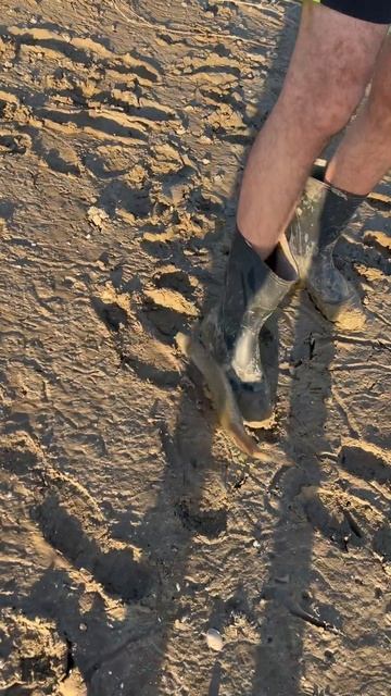 26 августа 2025 г.