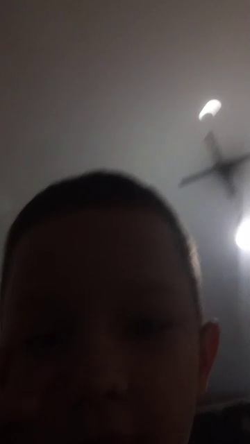 Домашняя жизнь