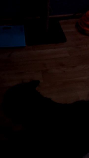 Нападение хищного зверя на человека