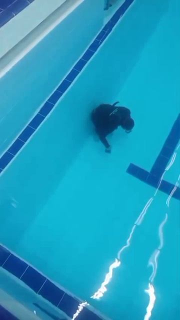 Прогулка по дну бассейна