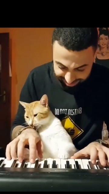 VID_20250826_230654_827.mp4