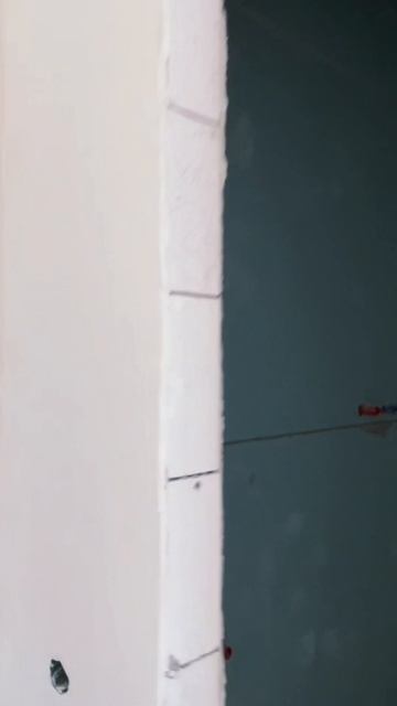 Простор и свет в каждой комнате