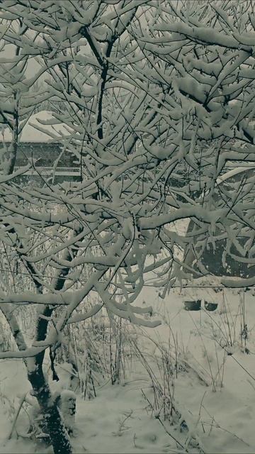 Апрель #весна #зима #погода #снег