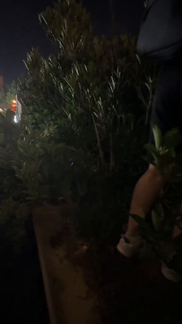 Китай: Поездка одним кадром. Полетели к партнерам, разобрали принцип подбора авто. #китайавто