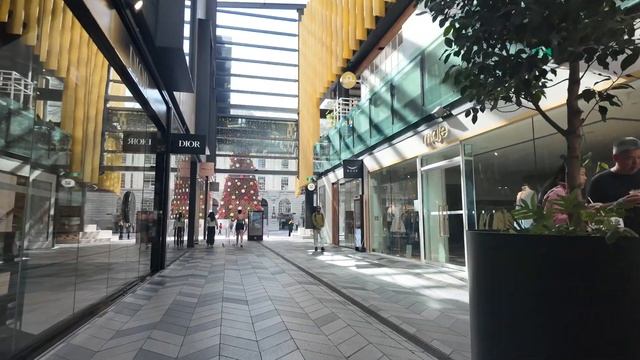 Окленд 🌄 утренняя прогулка по Новой Зеландии — город, свет, ритм, природа, июль 2025 🚶♂️🌿