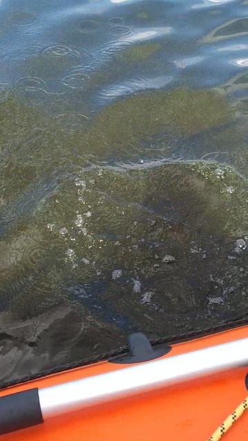 Рука бойца отпускать устала.