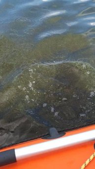 Рука бойца отпускать устала.