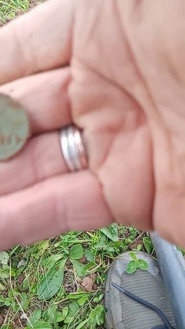 VID_20250826_144150_956.mp4