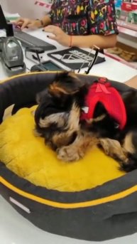 Покупкой доволен☺👍))