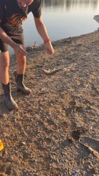 26 августа 2025 г.