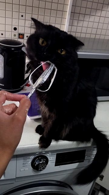 Поедание вкусняшки