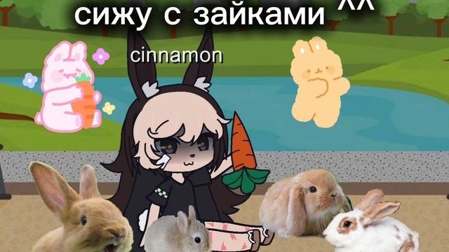 {23:44}сижу с зайками🐰🥕
