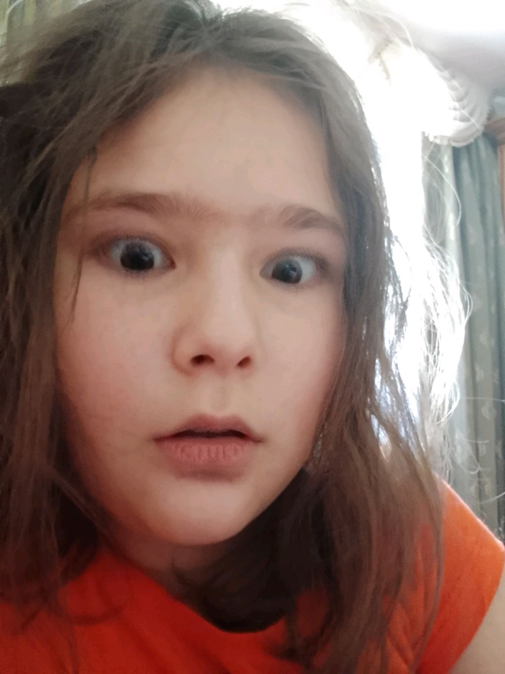 Барбоскины